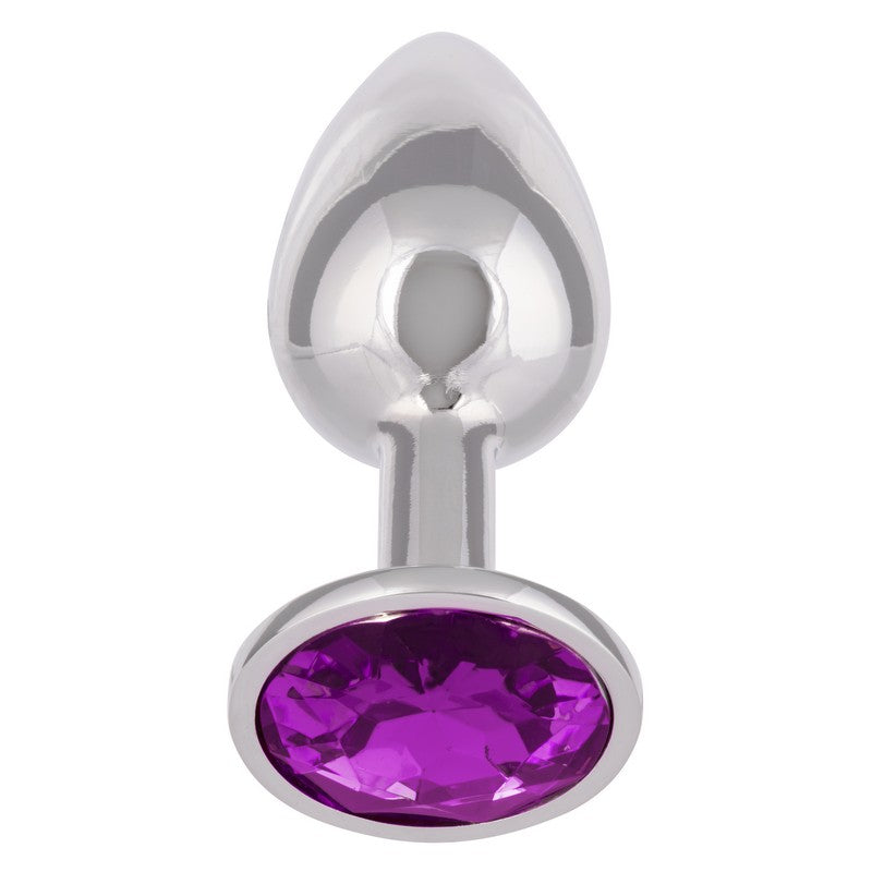 SE0438-20-3 Jewel Amethyst Plug Small