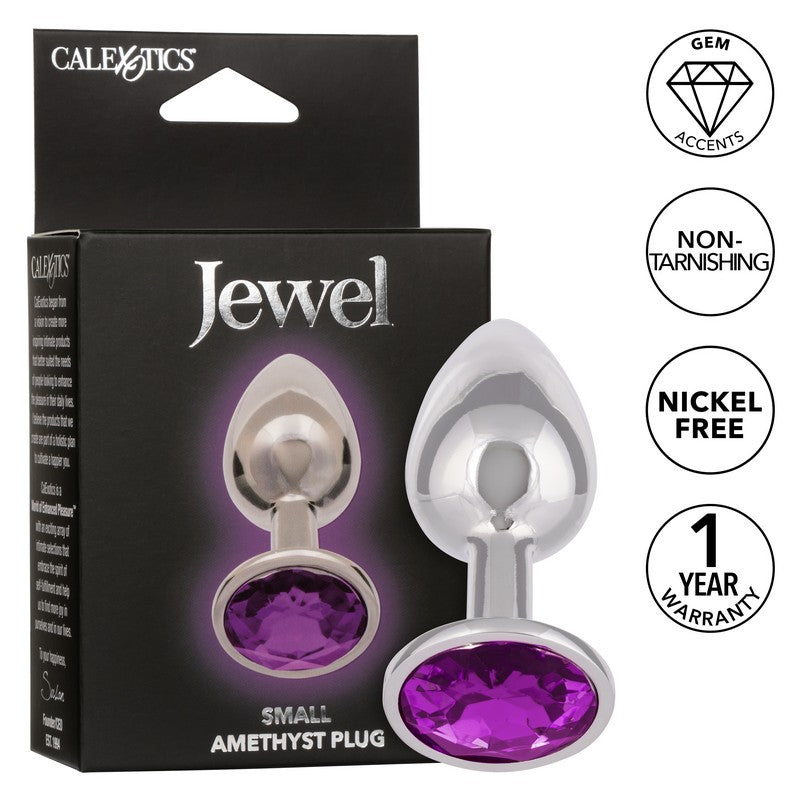 SE0438-20-3 Jewel Amethyst Plug Small