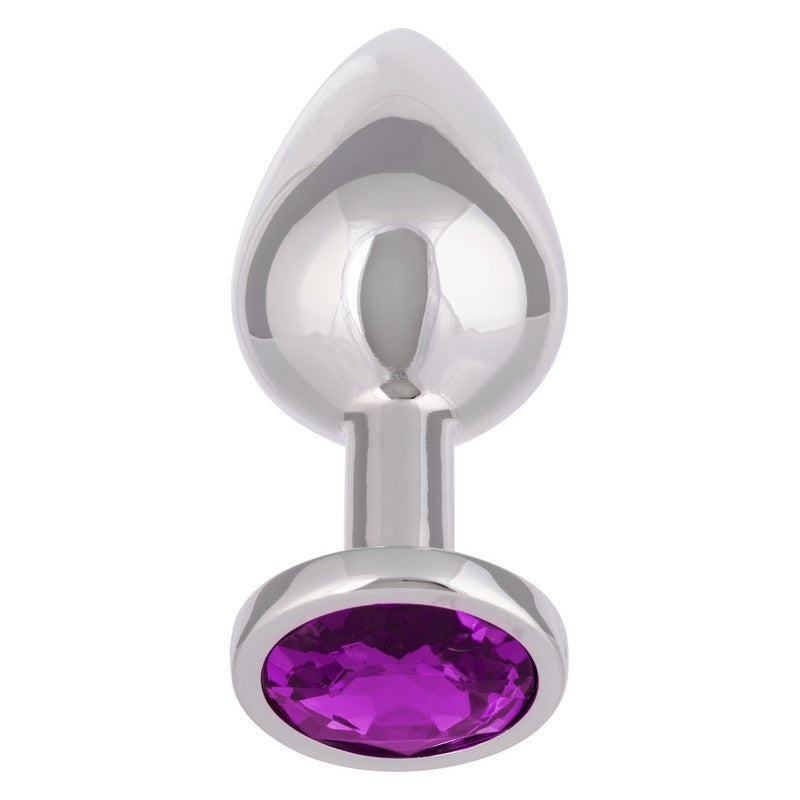 SE0438-25-3 Jewel Amethyst Plug Large