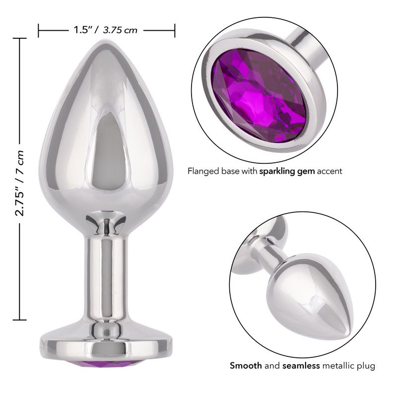 SE0438-25-3 Jewel Amethyst Plug Large