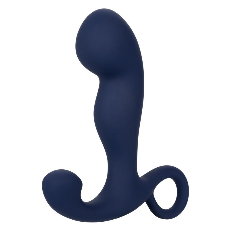 SE0434-05-3 Viceroy™ Rechargeable Command Probe