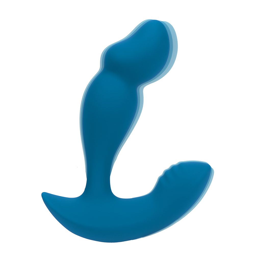 LevelZ Dual Motor Vibe Prostate Massager