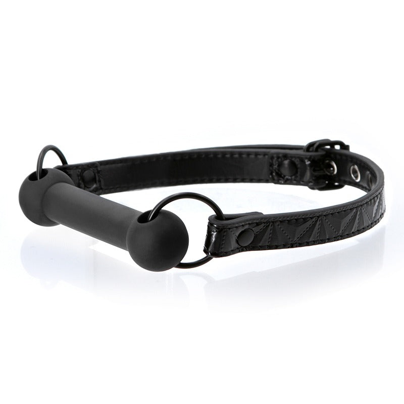 Sinful Bar Gag
