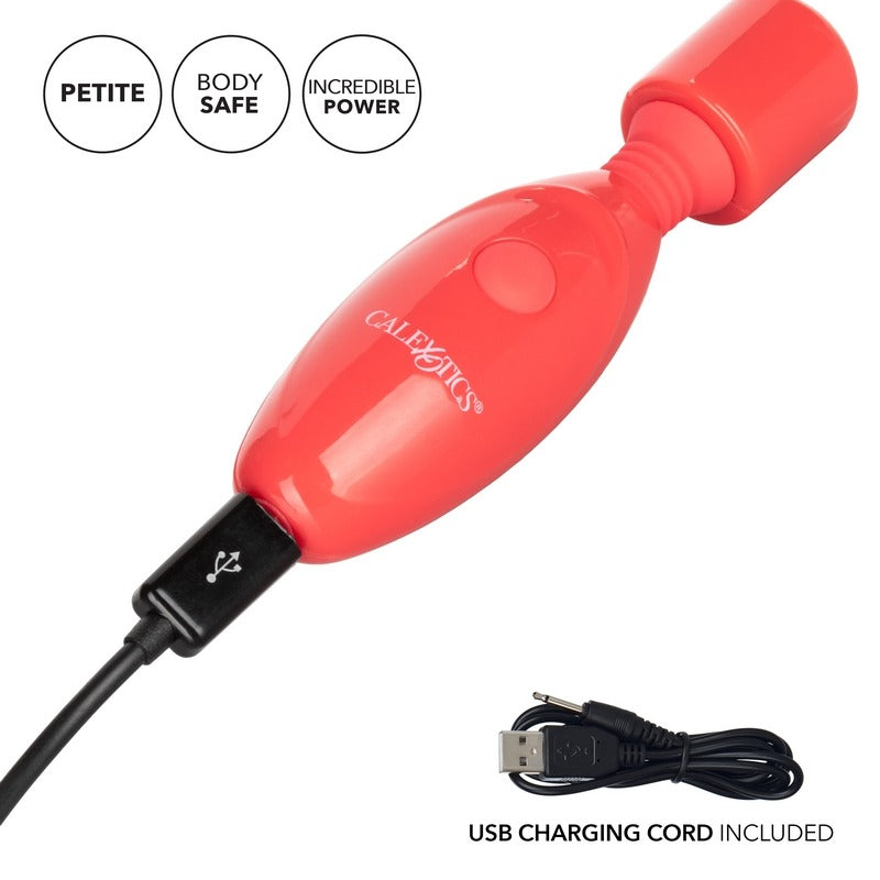 SE0062-60-2 Rechargeable Massager Kit