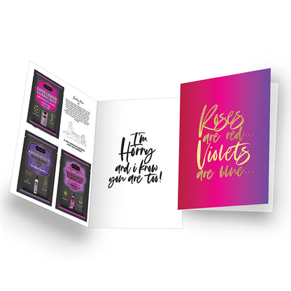 Naughty Notes Greeting Card Holiday Prepack of 12