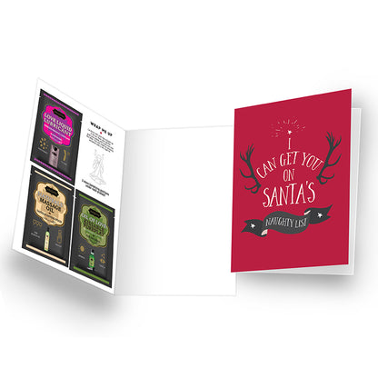 Naughty Notes Greeting Card Holiday Prepack of 12