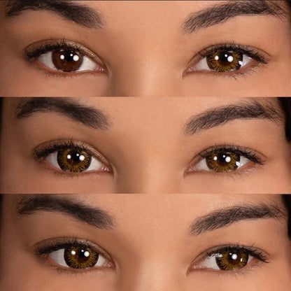 Primal Temptress Chestnut Colo Lenses