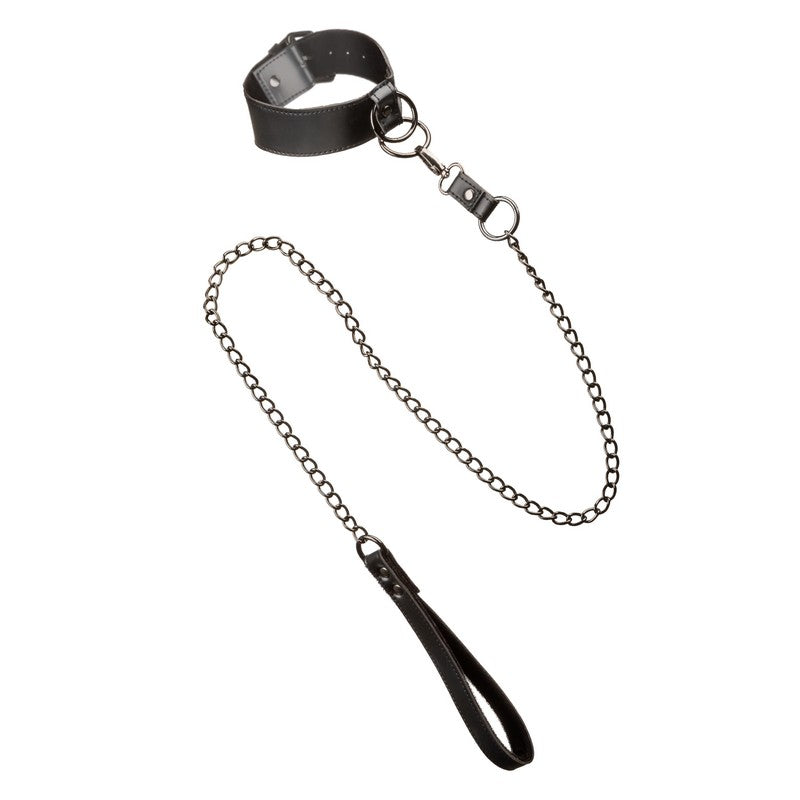 SE3100-55-3 Euphoria Collection Collar with Chain Leash