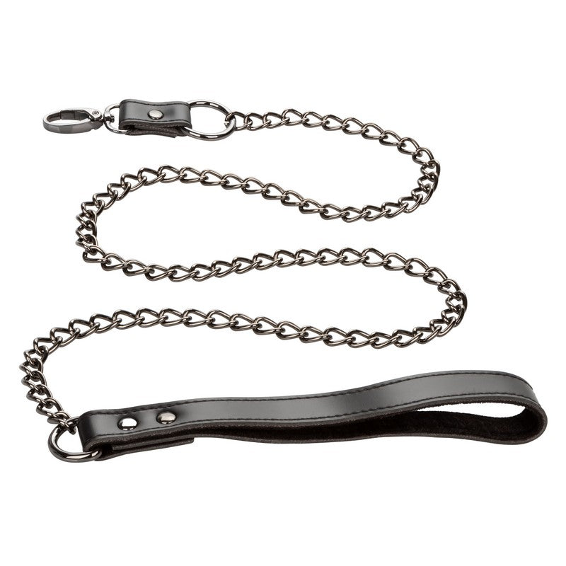 SE3100-55-3 Euphoria Collection Collar with Chain Leash