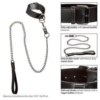 SE3100-55-3 Euphoria Collection Collar with Chain Leash