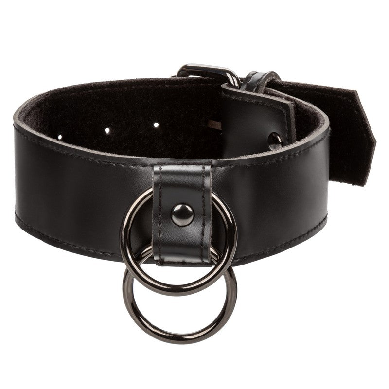 SE3100-55-3 Euphoria Collection Collar with Chain Leash