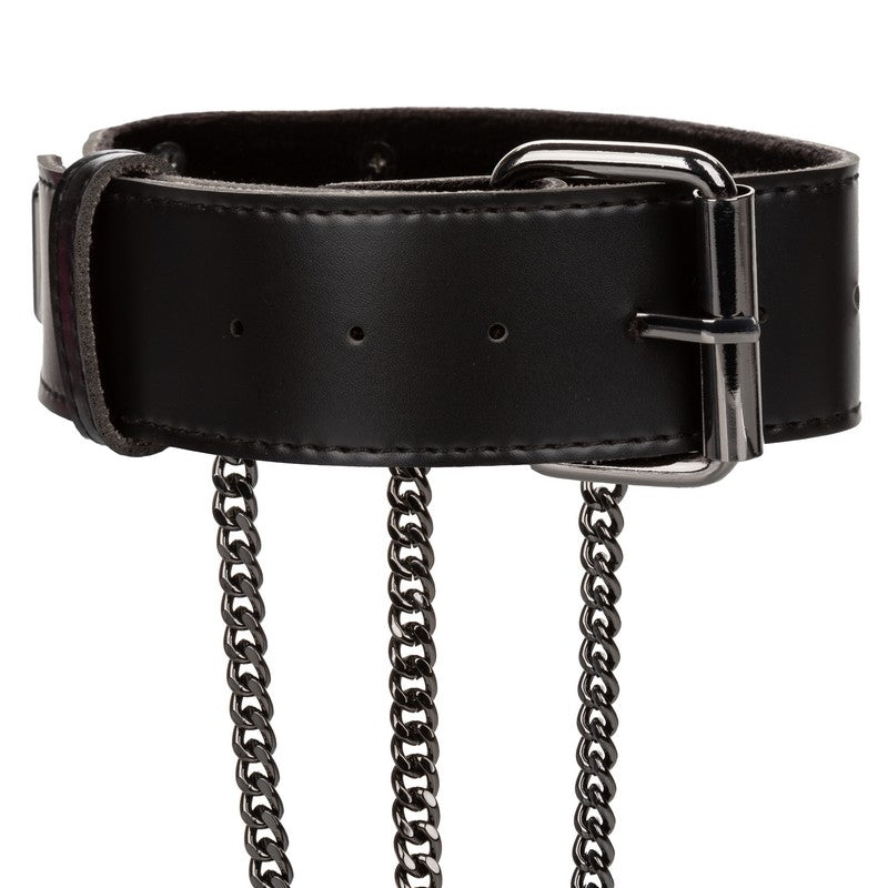 SE3101-15-3 Euphoria Collection Multi Chain Collar Harness