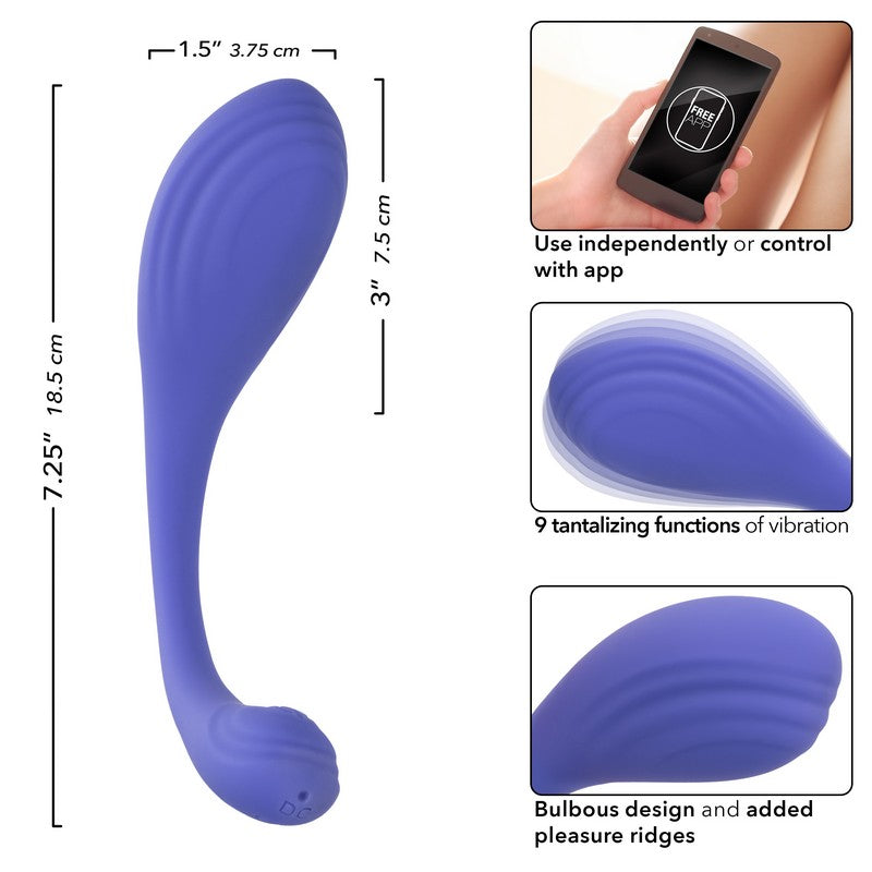 SE0001-10-3 Connect Kegel Exerciser