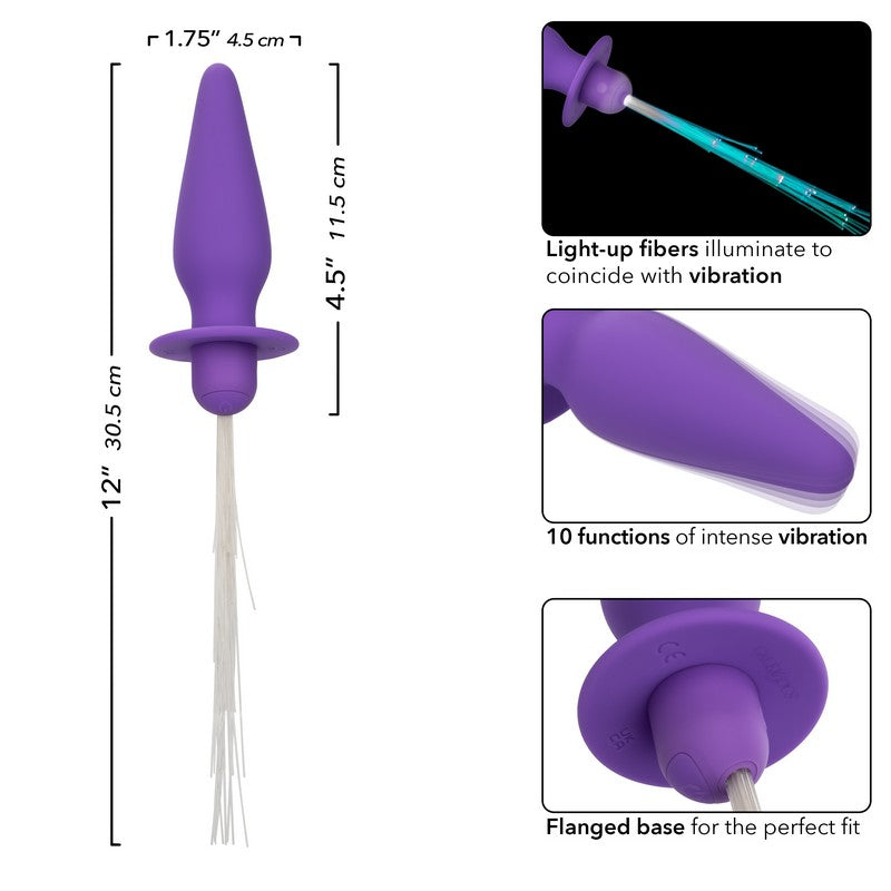 SE2655-15-3 Southern Lights Anal Probe Purple