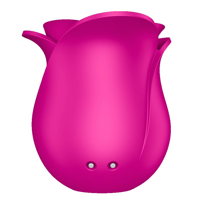 Pro 2 Blossom Modern