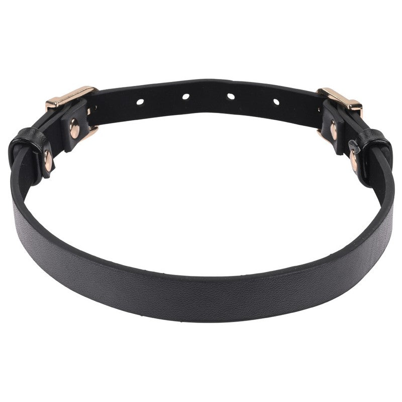 S&M Double Buckle Day Collar