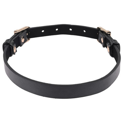 S&M Double Buckle Day Collar