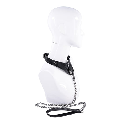 Velvet Noir Collar & Leash