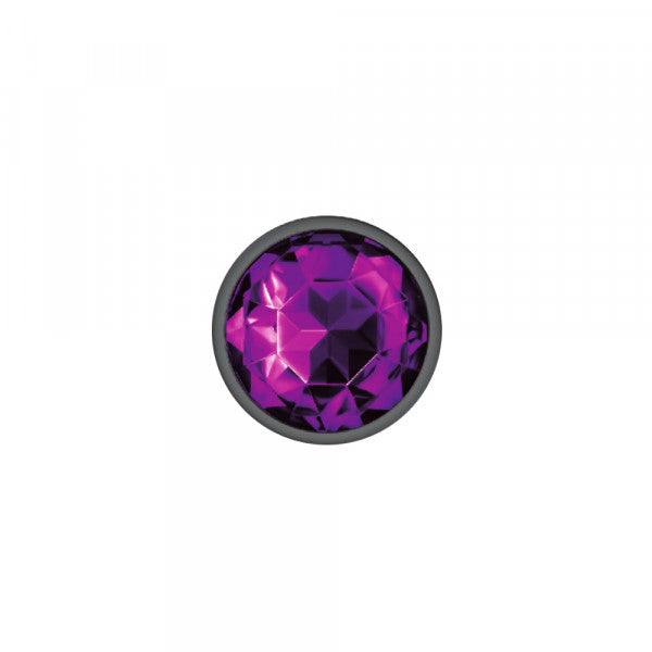 Silver Metal Plug - Round-Purple-Small
