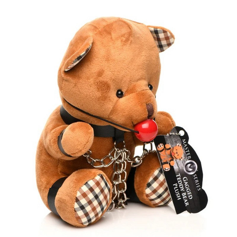 XR-AH215 Gagged Teddy Bear