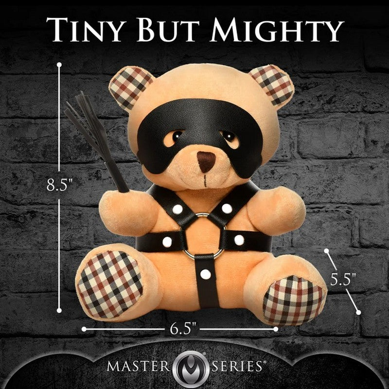 XR-AH217 BDSM Teddy Bear