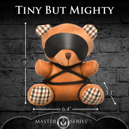 XR-AH218 Rope Bondage Teddy Bear