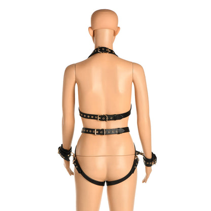 Harness With Restraints
