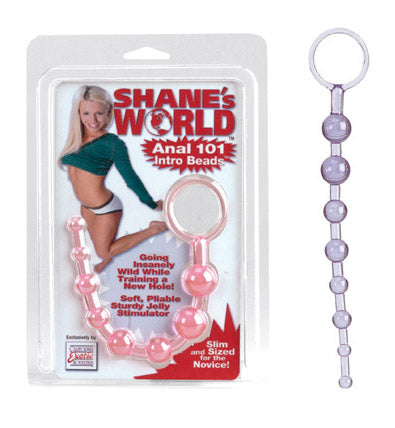 SE1314-14-2 Shanes World Anal 101 Intro Beads Purple