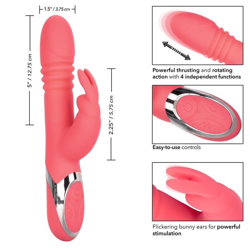 SE0649-20-3 Enchanted Exciter Pink