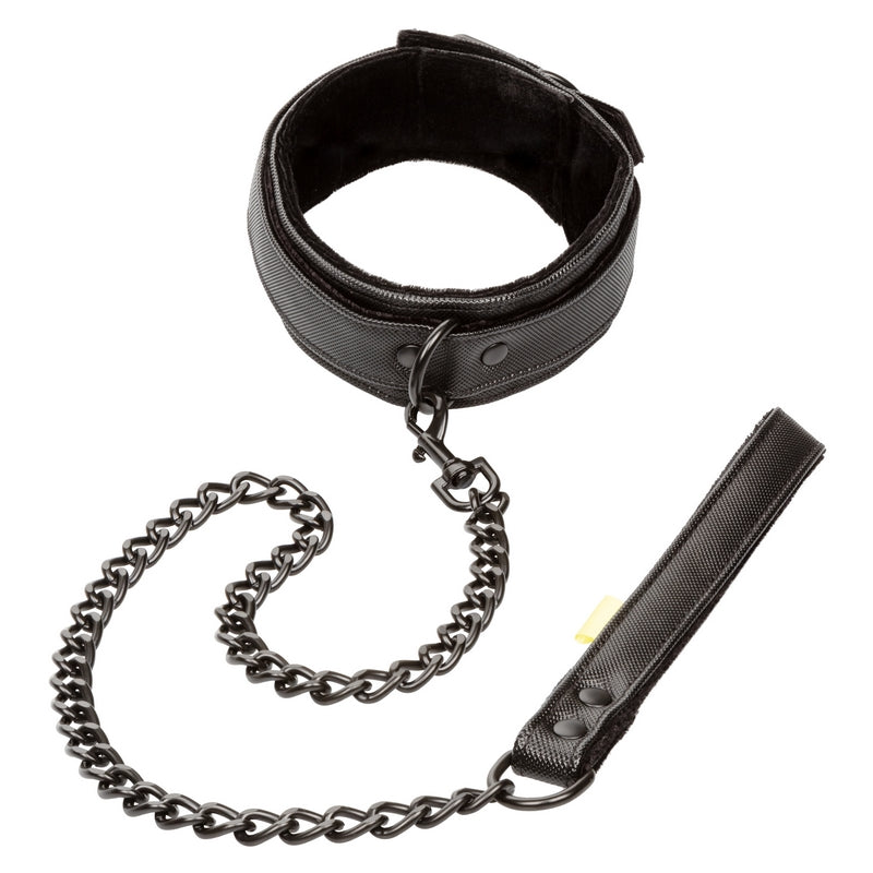 SE2702-40-3 Boundless Collar & Leash