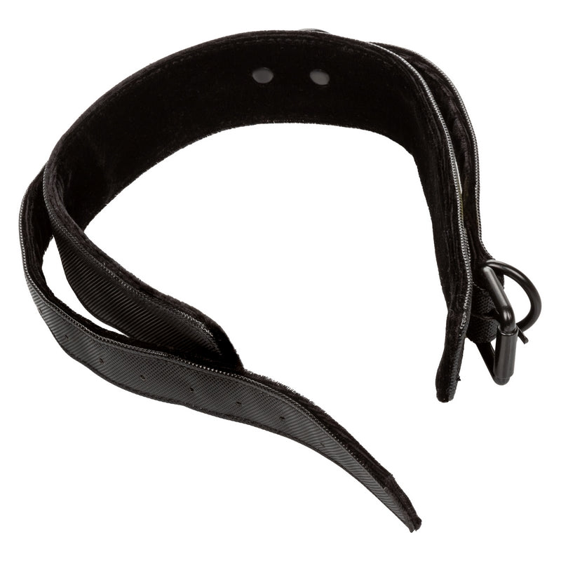 SE2702-40-3 Boundless Collar & Leash