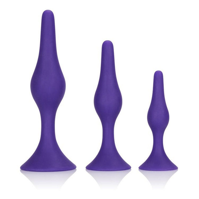 SE0393-21-2 Booty Call Booty Trainer Kit Purple