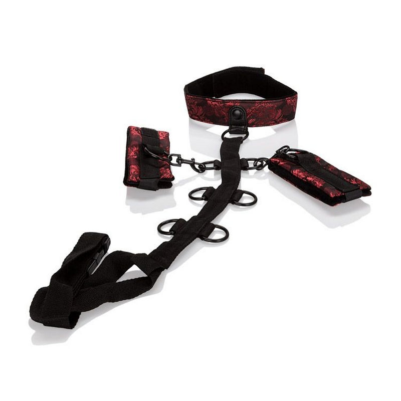 SE2712-73-3 Scandal Collar Body Restraints