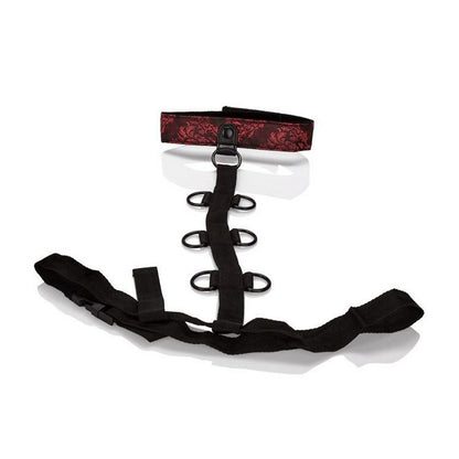 SE2712-73-3 Scandal Collar Body Restraints