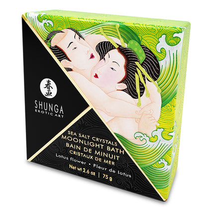 products-SH6617.jpg